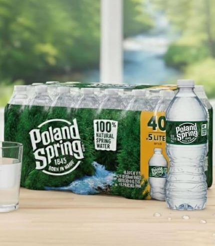 POLAND WATER 40X16oz