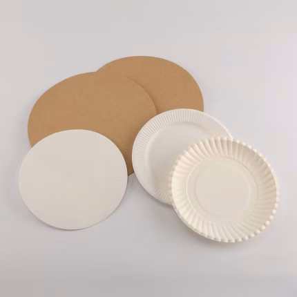 WS-BP 9 in Round PAPER Plate 4ooct