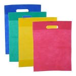 Non Woven  Bag 300 FD1-6