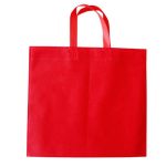 Non Woven Bag-Ittadi 1/6  300ct