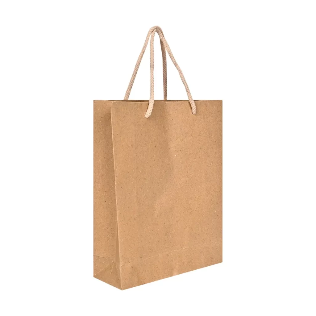 Paper-Bag-1024x1024 #5 Brown Paper Bags IPMORT 1/500 - Image 1