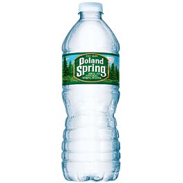 POLAND WATER 40X16oz