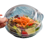 salad bowl   LID   8/12/16   504 PET16BDL